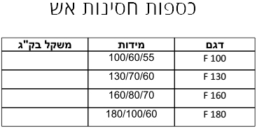 כספות חסינות אש דגמים